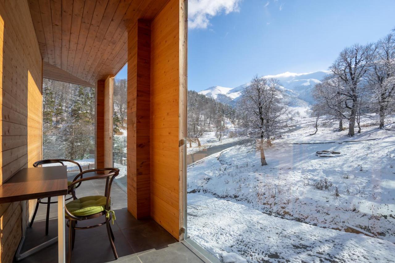 Didveli Valley Bakuriani Exteriér fotografie